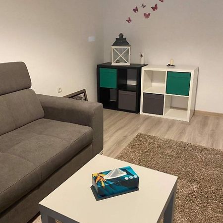 Sweet Appartament 티미쇼아라 외부 사진