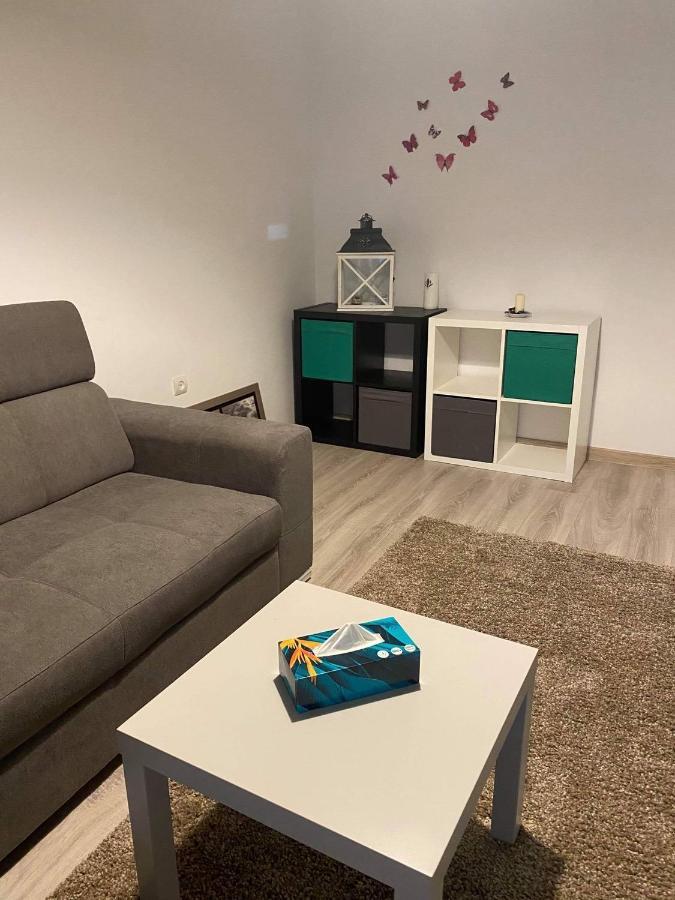 Sweet Appartament 티미쇼아라 외부 사진